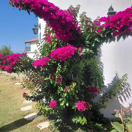 Vista Mare *